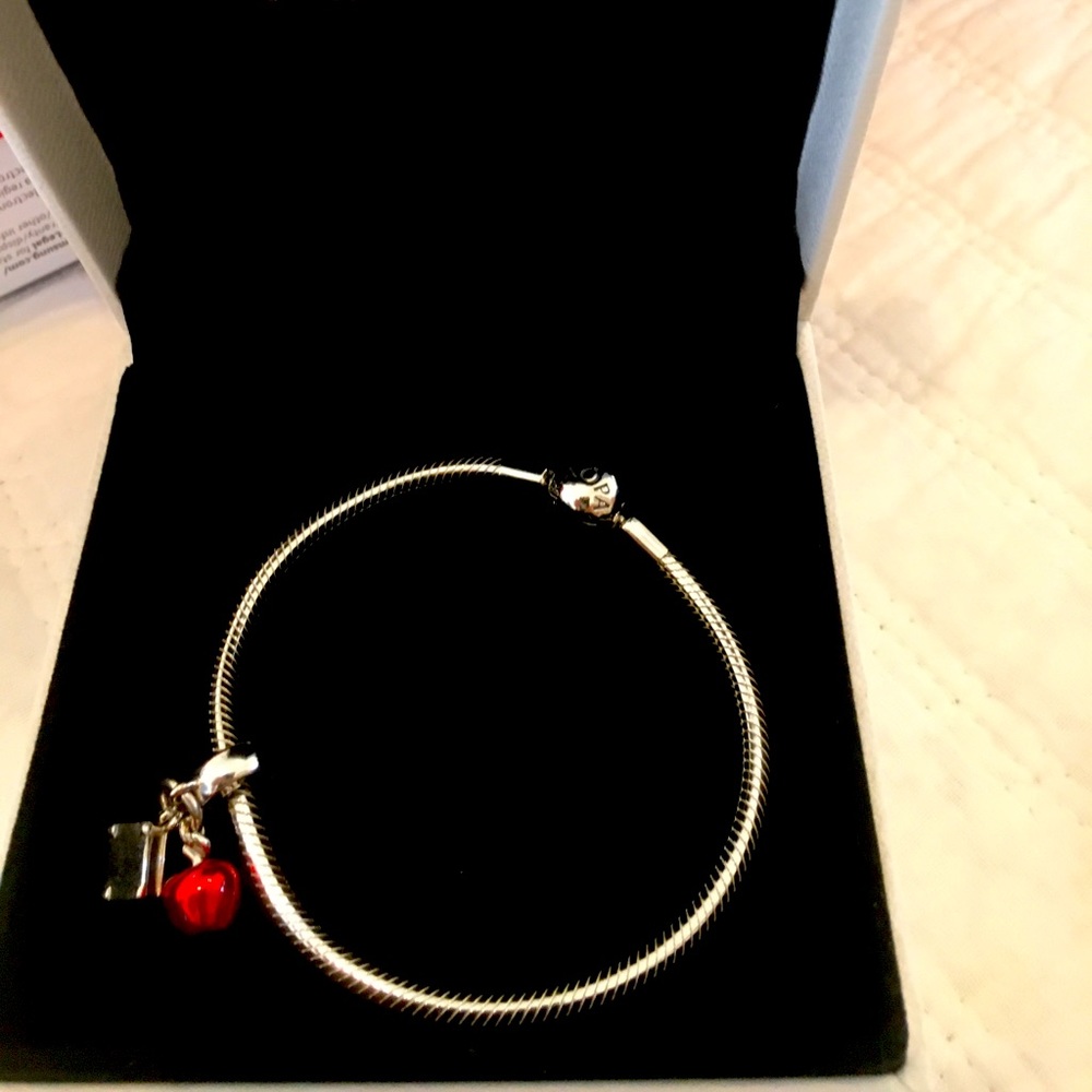 Pandora silver bracelet with charm